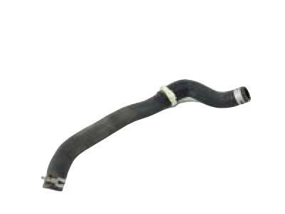 Scion 16572-21020 Lower Hose