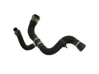 Scion 16572-21020 Lower Hose