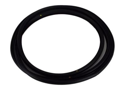 Toyota 63251-0E020 Weatherstrip,  Sliding Roof