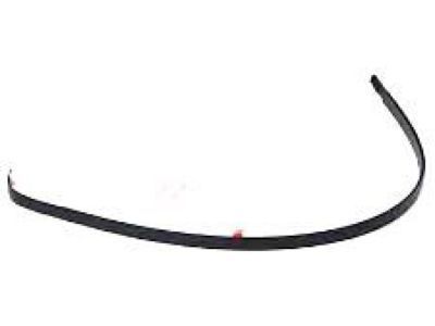 Toyota 75552-04051 Drip Molding