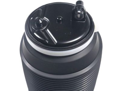 Toyota 48090-35011 Air Cylinder