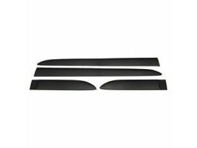 Scion Door Moldings - 75756-74010