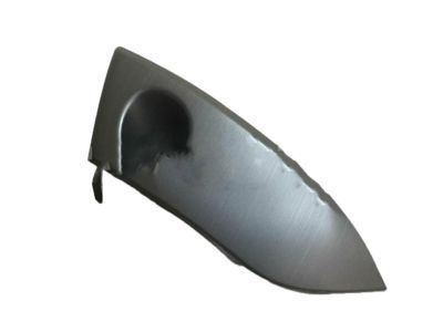 Toyota 55412-42060-B0 Side Trim