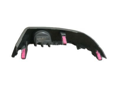 Toyota 55412-42060-B0 Side Trim