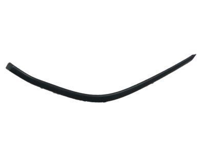 Toyota 53124-0D200 Side Molding