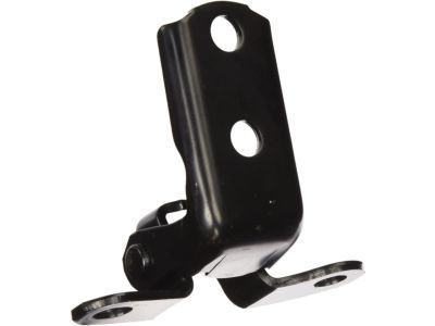 Scion 68780-52031 Lower Hinge