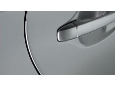 Toyota PT936-42100-02 Edge Guard