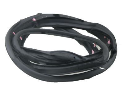 Toyota 67862-60071 Door Weatherstrip