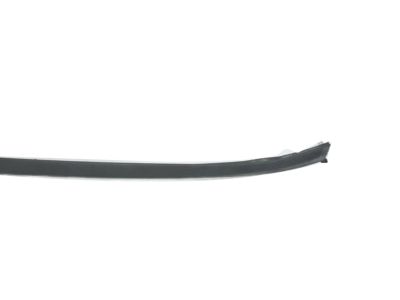 Toyota 75535-47030 Side Molding