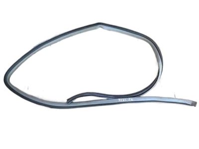 Toyota Avalon Door Seal - 62311-AC030-E0