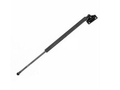 Toyota 4Runner Lift Support - 68907-39025