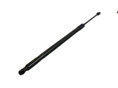 Toyota 4Runner Lift Support - 68907-0W101