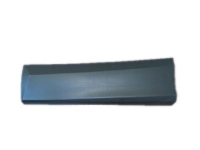 Toyota RAV4 Door Moldings - 75078-0R040