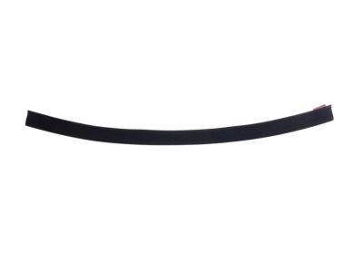 Toyota 75641-52040 Quarter Glass Molding