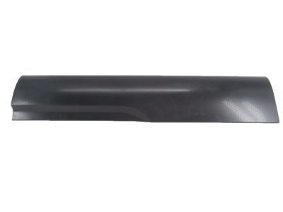 Toyota 75075-48901 Body Side Molding