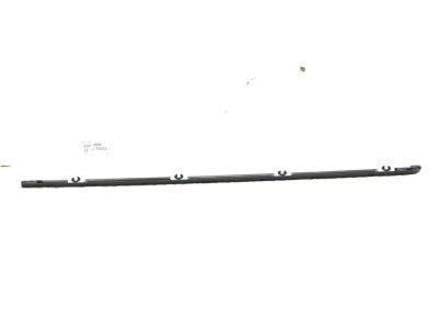 Toyota 75660-60040 Belt Molding