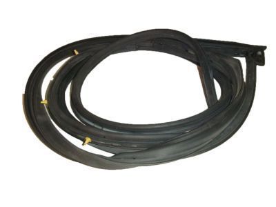 Toyota 67862-AE010 Door Weatherstrip