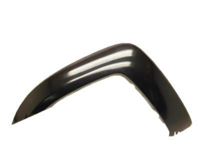 Toyota 75871-04030 Wheel Opening Molding