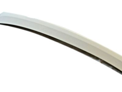 Scion Spoiler - PT47A-21055-10