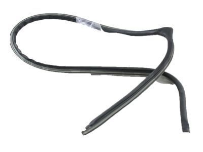 Toyota Land Cruiser Door Seal - 62312-60070-B0