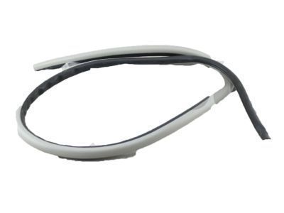 Toyota 62312-60070-B0 Weatherstrip, Front Door Opening Trim, LH