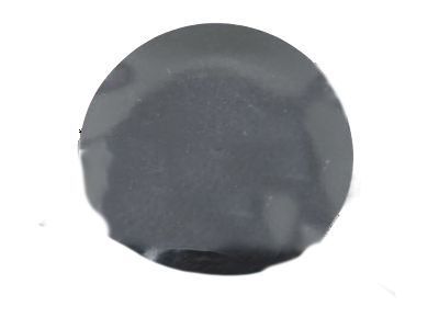 Scion 90950-01964 Plug, Hole