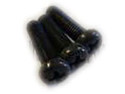 Scion 90079-10012 Screw