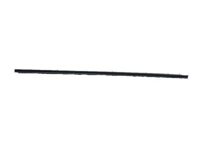 Toyota Weather Strip - 68172-14010