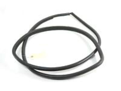 Scion 68172-12280 Belt Weatherstrip