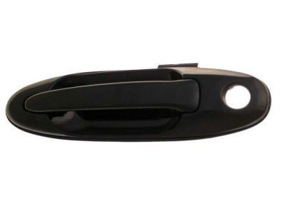 Toyota Land Cruiser Door Handle - 69220-60071-C0