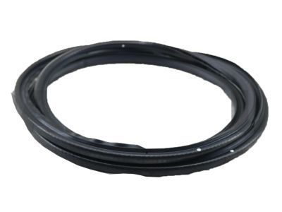 Toyota 63251-60062 Weatherstrip, Sliding Roof