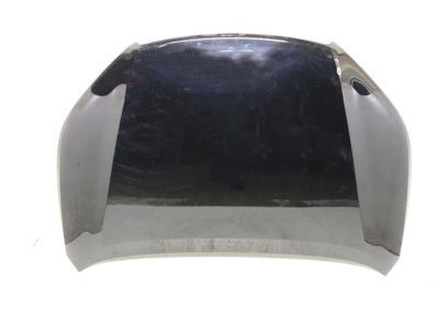 Toyota 53301-0E110 Hood Sub-Assembly