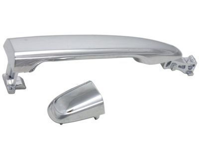 Toyota Land Cruiser Door Handle - 69210-60100-A0