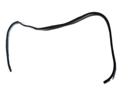 Toyota 62311-04041 Surround Weatherstrip