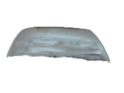 Toyota Tundra Mirror Cover - 87915-0C060-J4