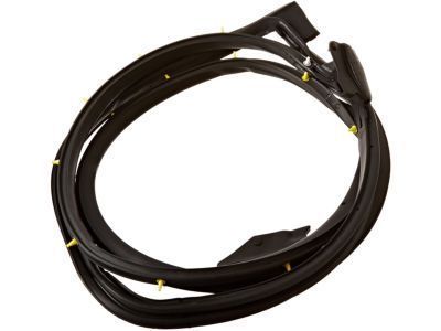 2004 Toyota 4Runner Weather Strip - 67872-35080