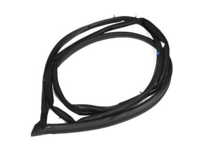 2006 Toyota Tundra Door Seal - 62312-0C020