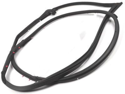 2015 Toyota Land Cruiser Weather Strip - 67862-60150