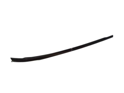 Toyota 75536-47030 Side Molding