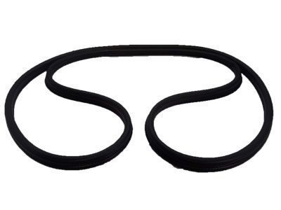 Toyota 4Runner Door Seal - 62312-35013