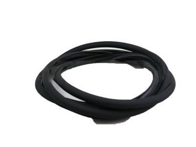 Scion Weather Strip - 63251-12190