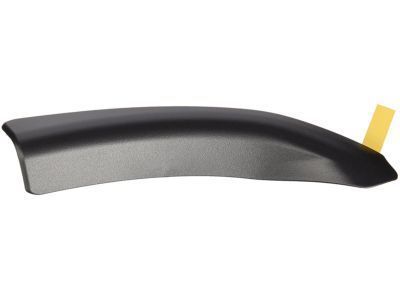 Toyota 75641-04020 Lower Molding