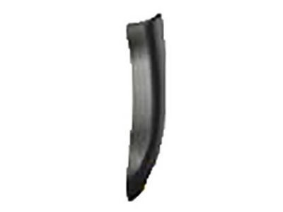 Toyota 75641-04020 Lower Molding