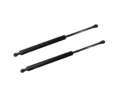 Toyota Land Cruiser Lift Support - 68950-69025