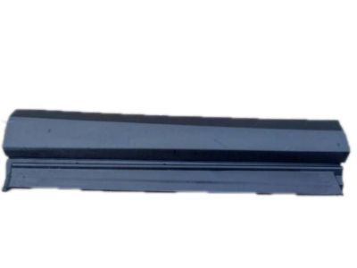 Toyota 75073-42021 Lower Molding