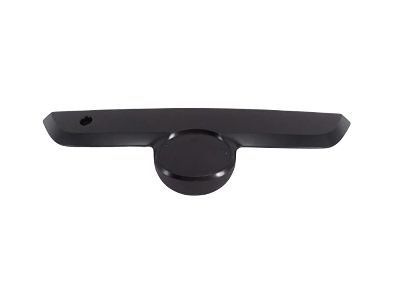 Toyota 76811-35320-C1 Handle Panel