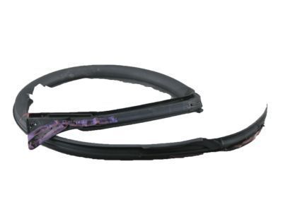 Toyota 62381-14140 Weatherstrip, Roof Side Rail, RH