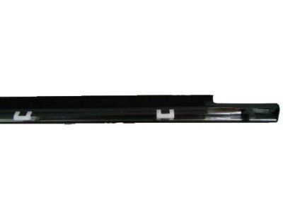 Toyota 75710-AA050 Belt Molding