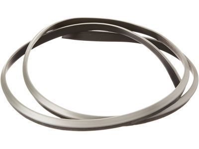 Toyota 53923-35010-B3 Protector