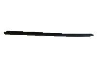 Scion 68171-12360 Belt Weatherstrip